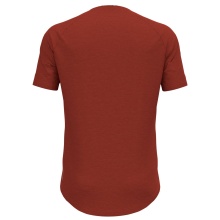 Odlo Wander-/Freizeit Tshirt Crew Neck Ascent Performance Wool 130 mit Landschaftsprint rot Herren